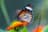 https://cdn.wasmer.io/avatars/users/125033.jpg avatar