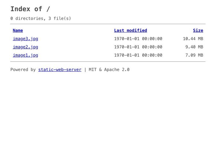 CDN Starter · Wasmer