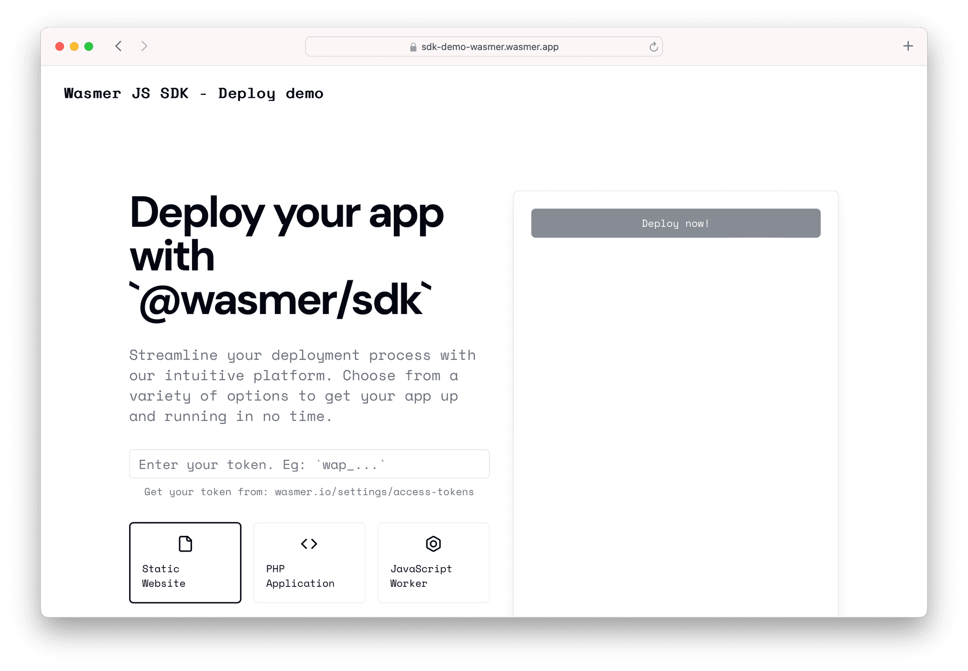 Wasmer JS SDK demo website