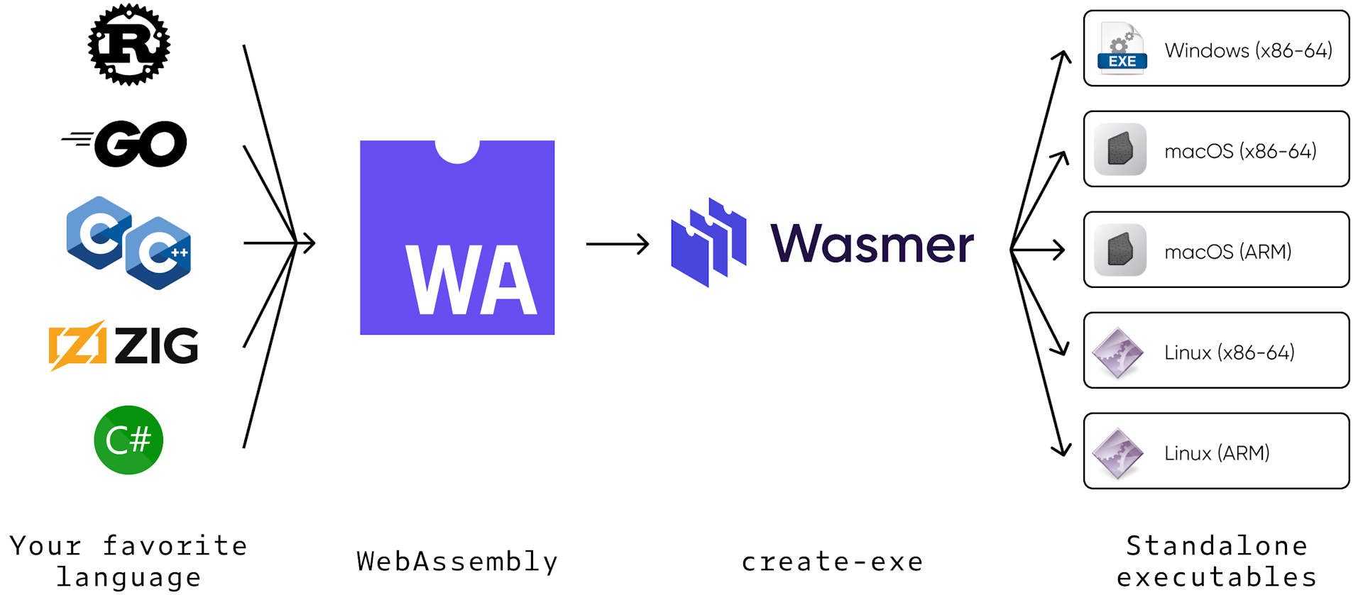 https://wasmer.io/images/blog/wasm-universal-binary.png