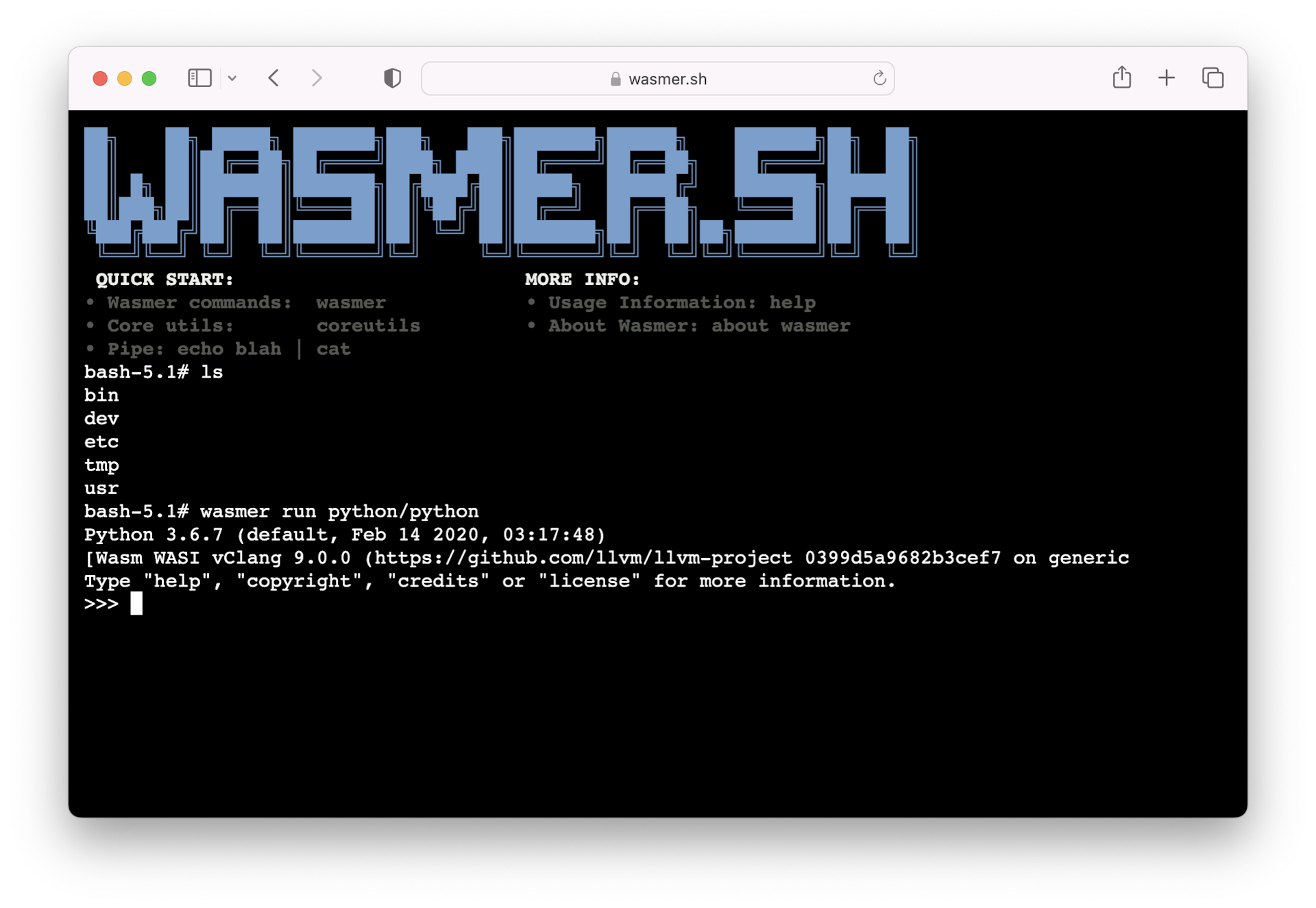 Wasmer running on the browser